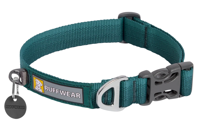 dog harness or collar