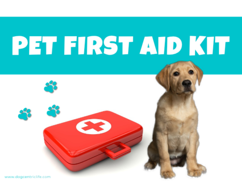 Be Prepared: How To Make A Pet First Aid Kit - DogCentric Life