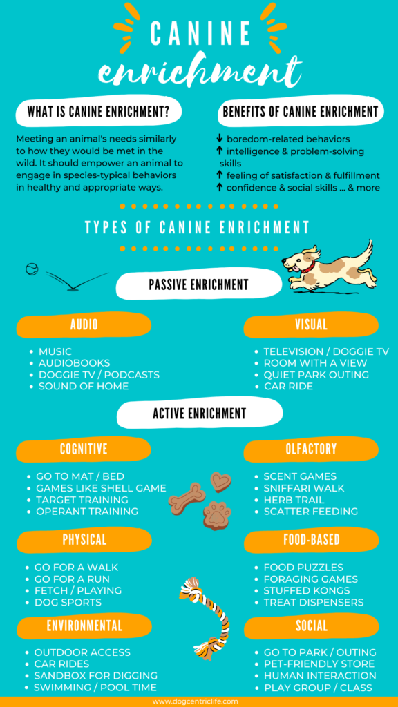 types of canine enrichment