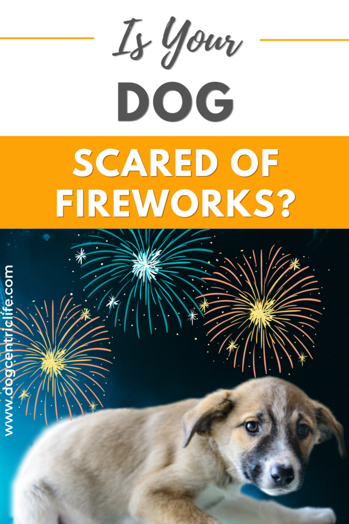 is your dog scared of fireworks