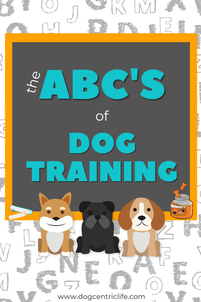 ABC's in dog training