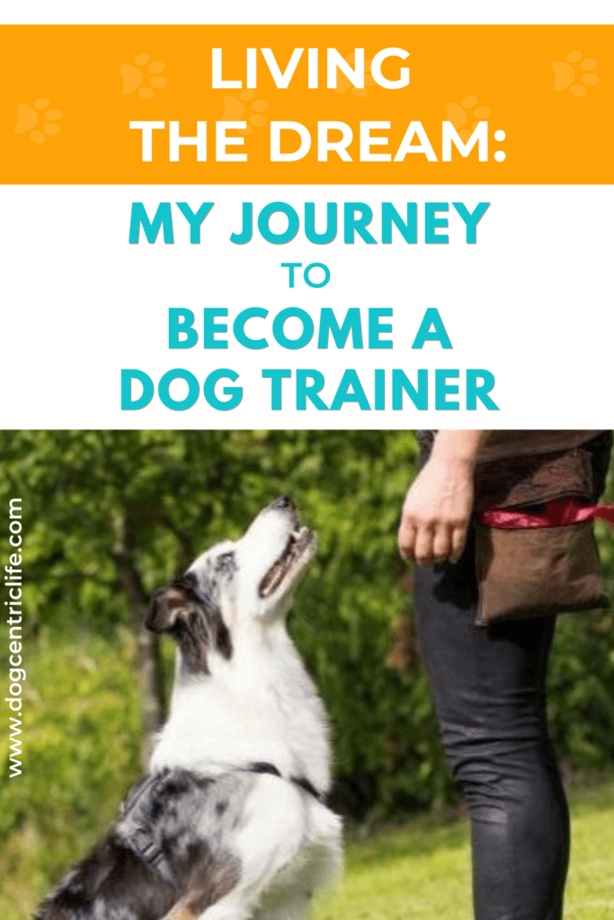 BECOME A DOG TRAINER