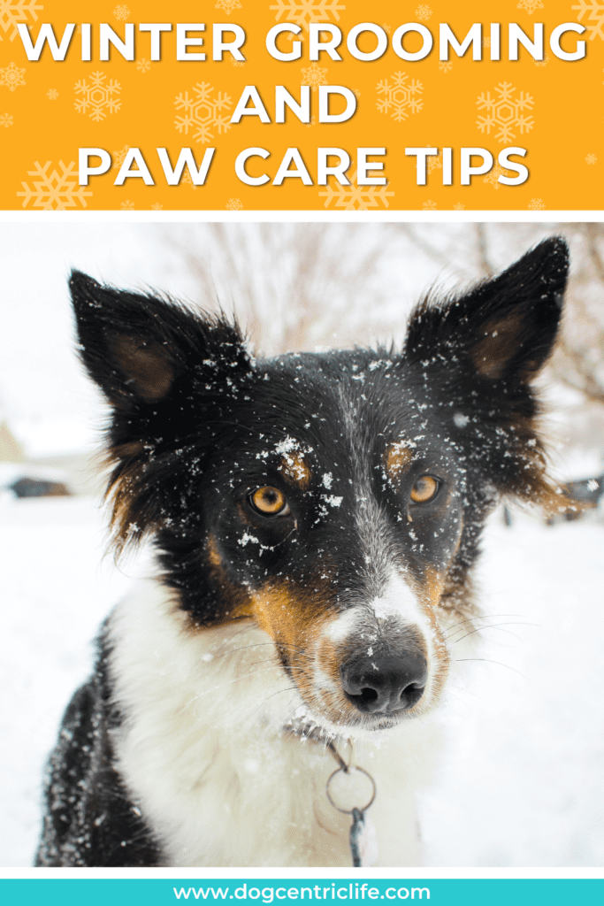 winter grooming tips