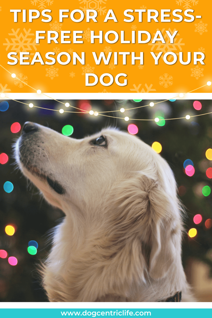 how to help your dog manage the busy holiday season