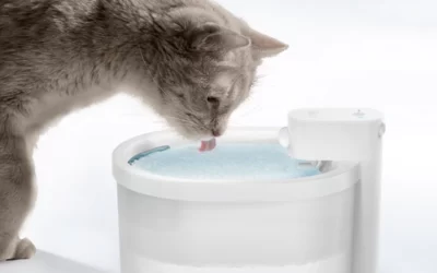 Uahpet ZERO Wireless Water Fountain For Your Cat: Review