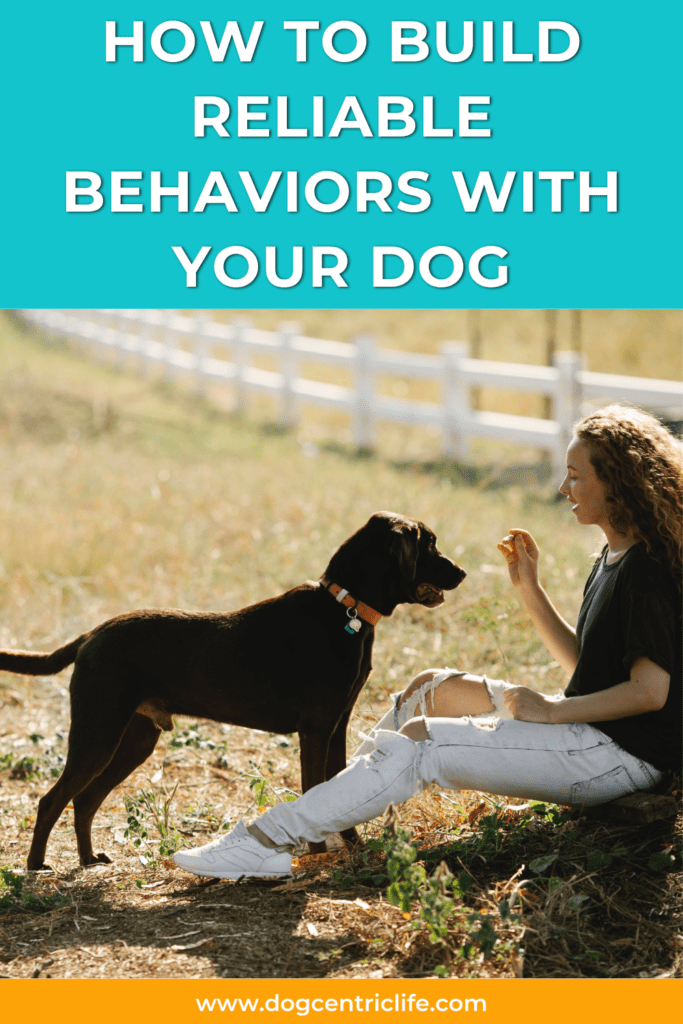Generalization - How to create reliable behaviors with your dog