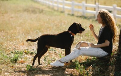 Generalization: How To Build Reliable Behaviors With Your Dog