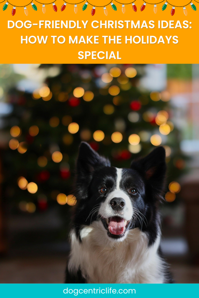 dog-friendly christmas ideas