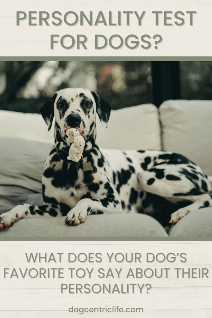 personality test for dogs? what does your dog's favorite toy say about their personality?